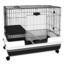 Wayfair guinea shop pig cages